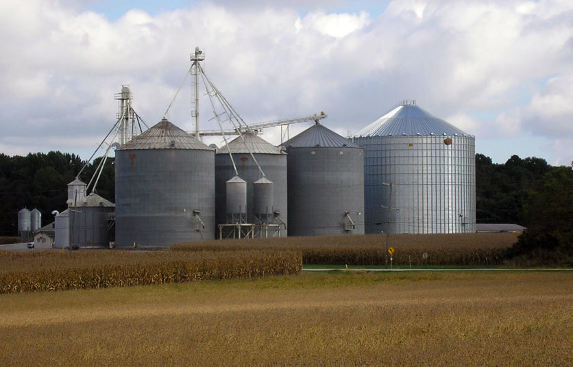 Row of corrugated steel grain bins and a leg beside a corn field