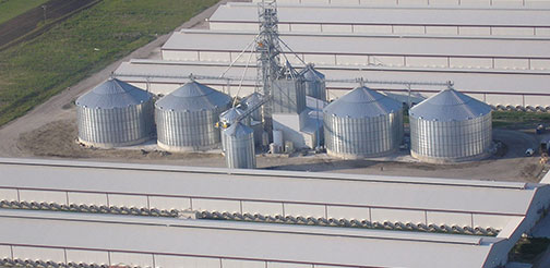Aerial view of grain bins beside long poultry houses